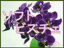 ノンワイヤー ソフト ビスチェ