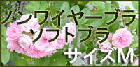ノンワイヤーブラ ノンワイヤーブラジャー ソフトブラ Mサイズ
