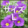 ノンワイヤー ソフト ブラキャミ Lサイズ