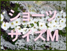 ショーツ Mサイズ